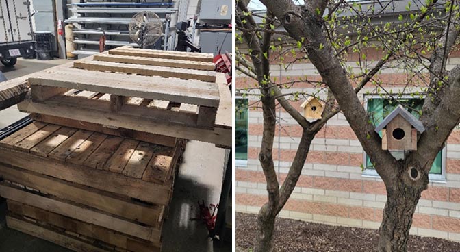 
Conversion of wood pallets to bird houses
