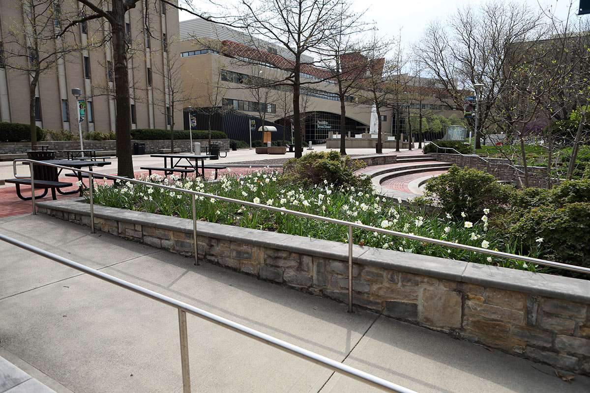 Photo of campus flowers in bloom